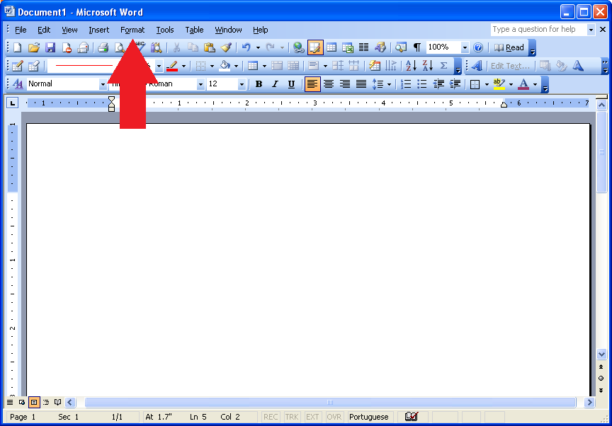 double space word 2003 format paragraph settings