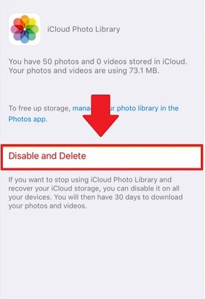 disable icloud photo library and delete photos