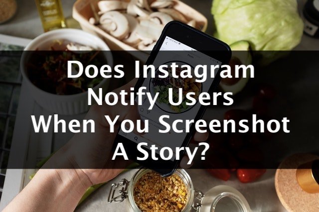 Does Instagram Notify Users When You Screenshot a Story? - TechMused
